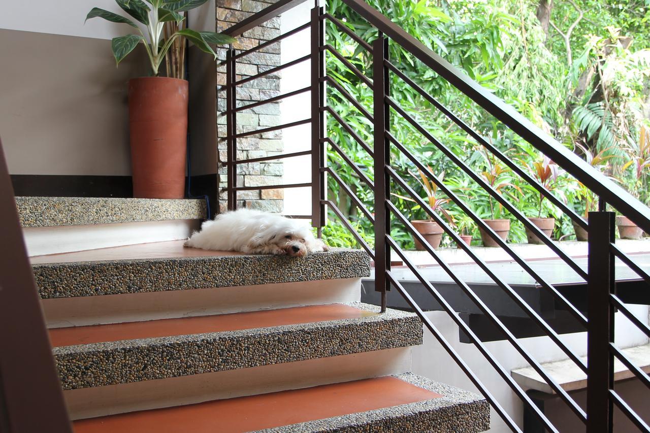 New Manila Bed & Breakfast
